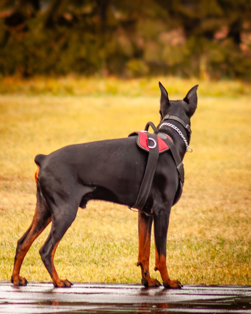 Photograph by Grigoriy