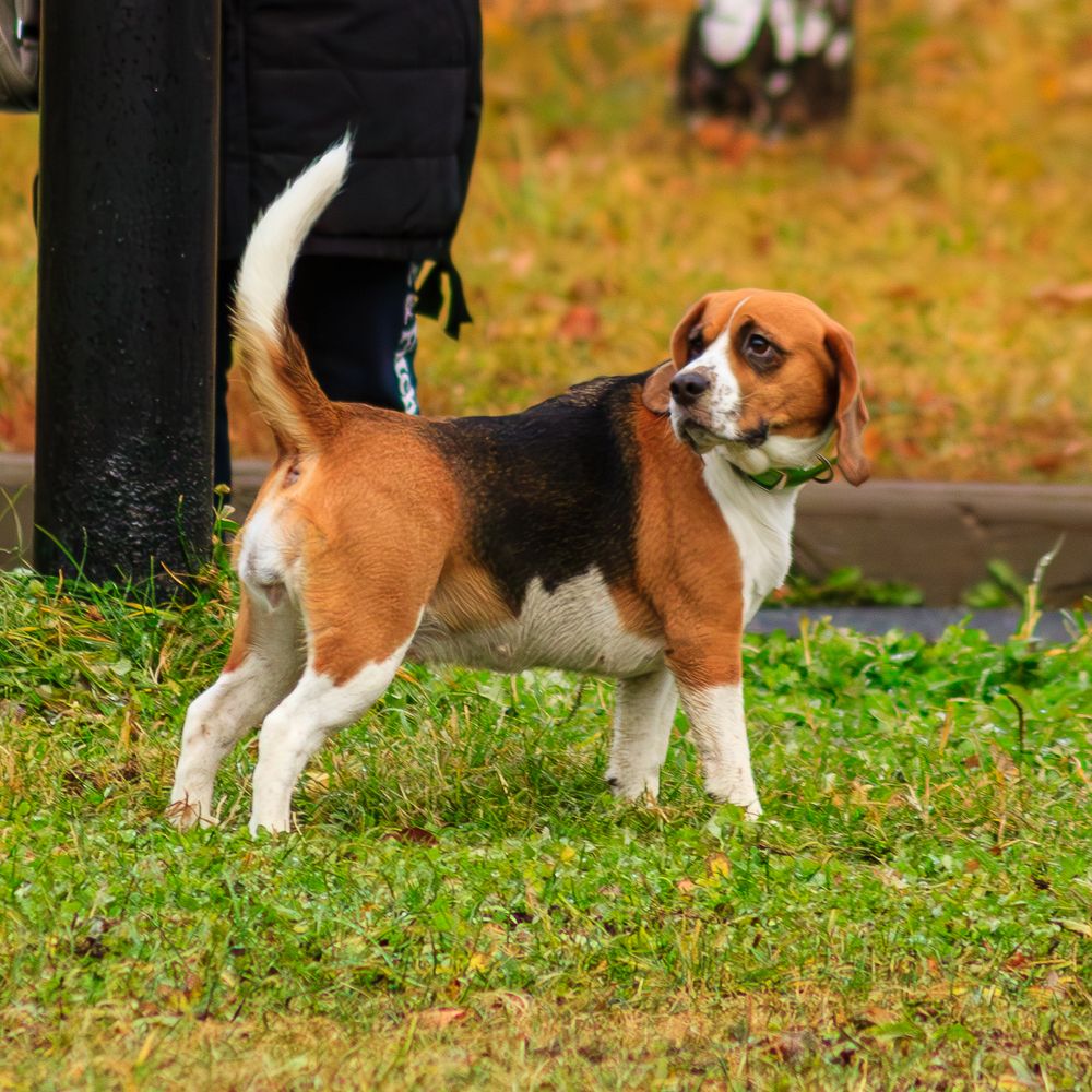 Photograph by Grigoriy