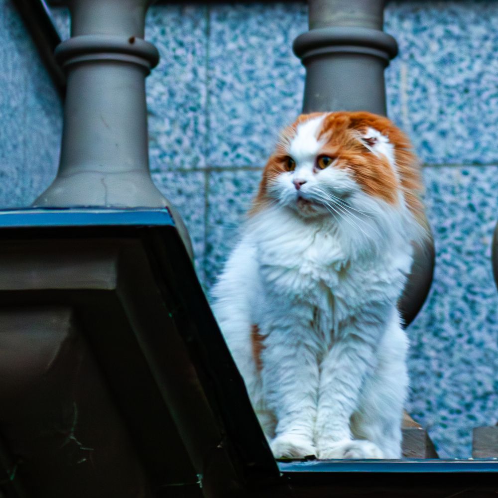 Photograph by Grigoriy