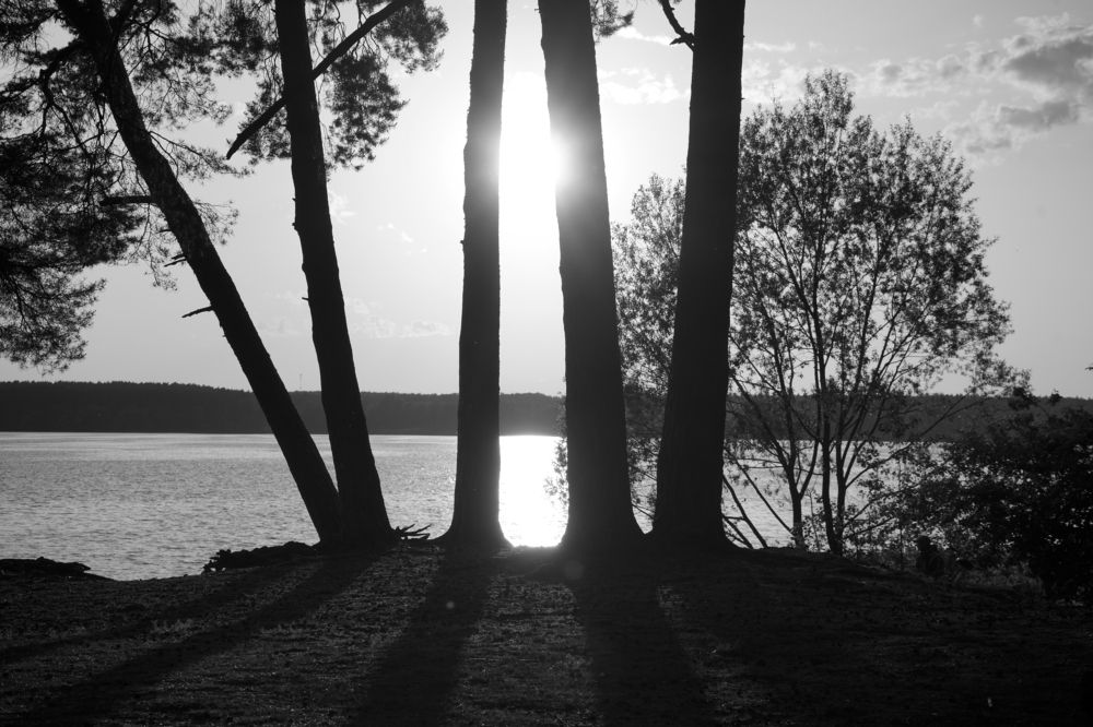 Photograph by Алексей Курносов