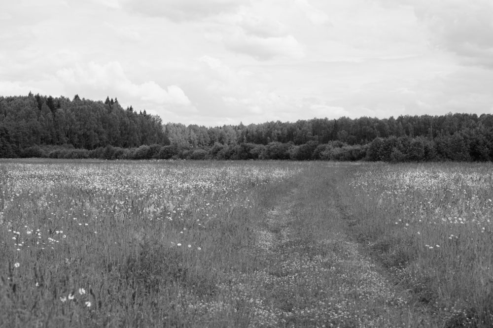 Photograph by Алексей Курносов