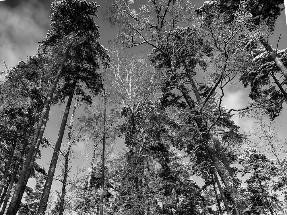 Photograph by Ксения