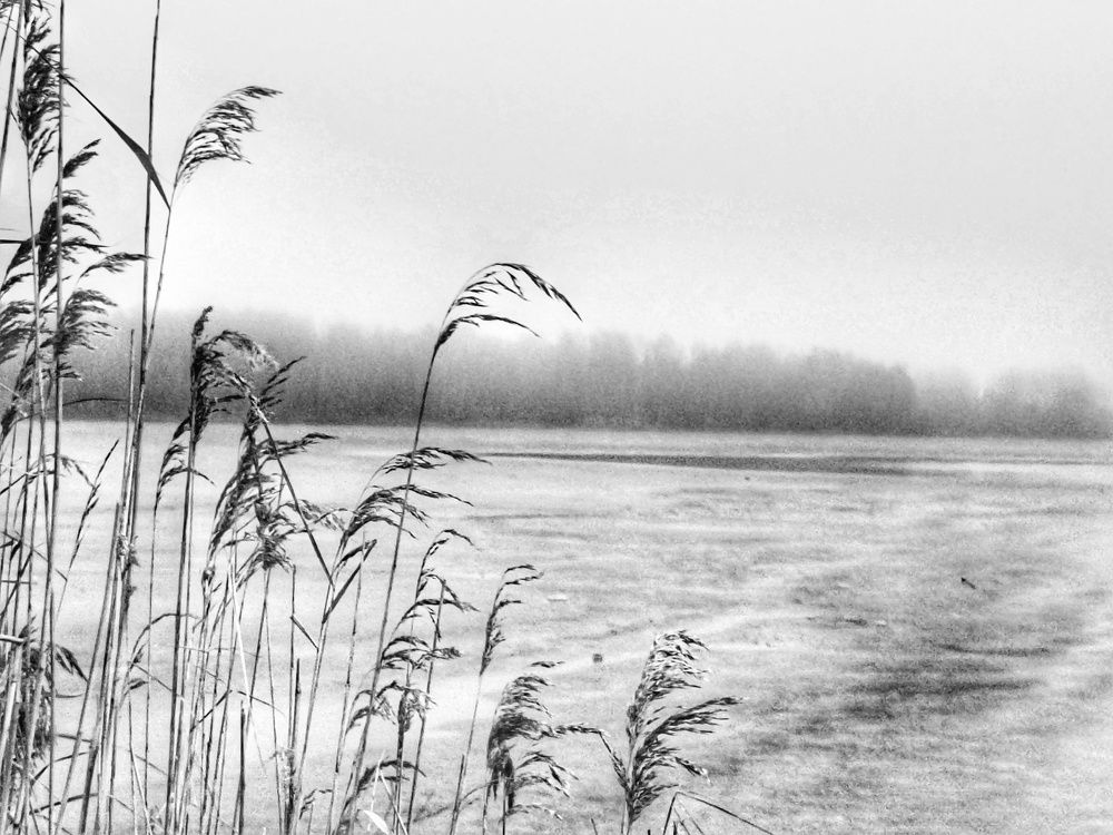 Photograph by Halina Basyanok