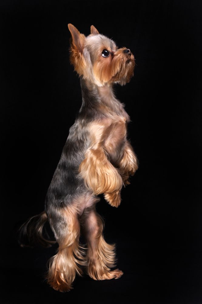 Photograph by Елена Лапочкина