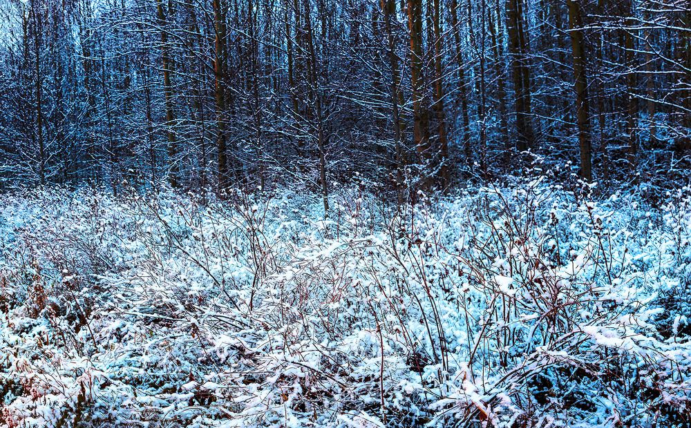 Photograph by Владимир Мельников