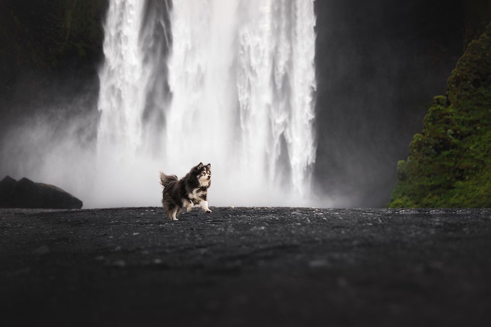 Photograph by Ines Van Doninck