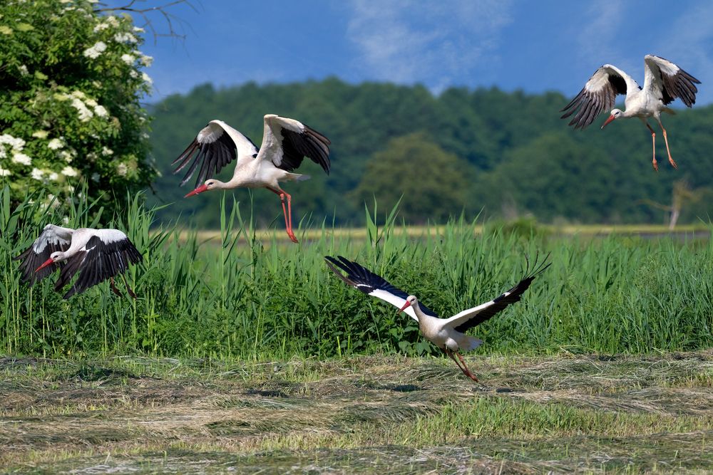 Photograph by Tollas Krzysztof