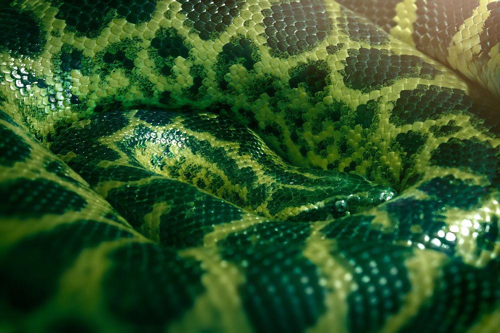 Photograph by Мария Кравченко