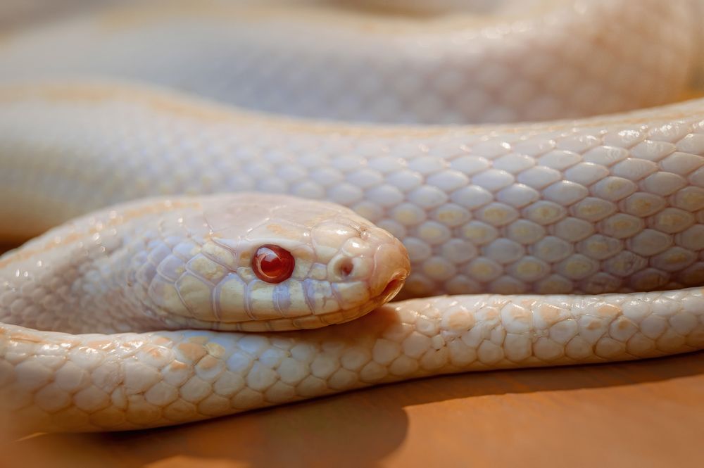 Photograph by Мария Кравченко