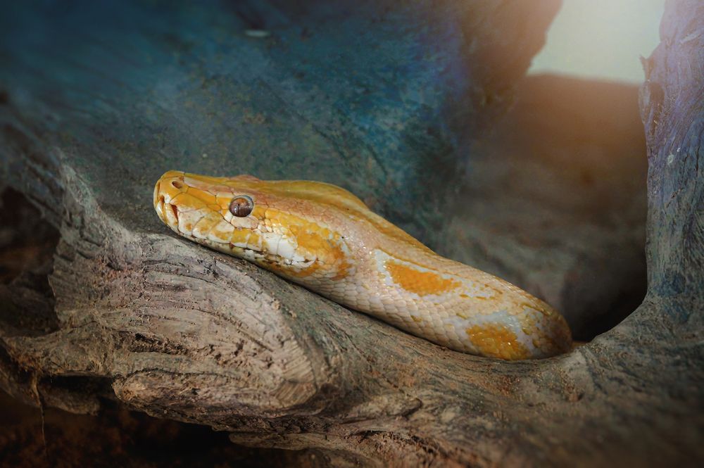 Photograph by Мария Кравченко