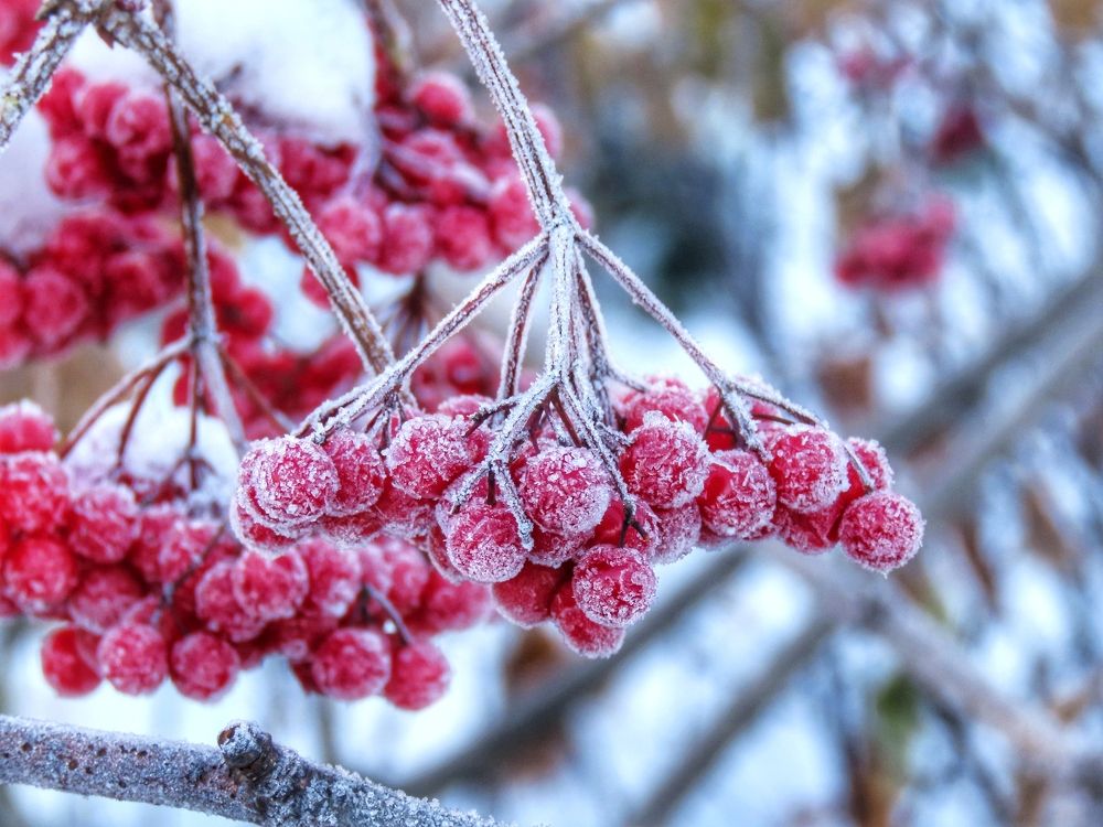 Фотография автора Екатерина Солохина
