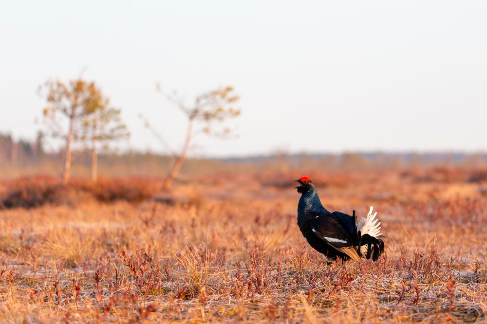 Photograph by Александр Ильин