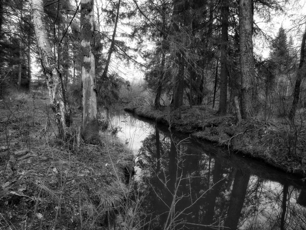 Фотография автора Екатерина Солохина