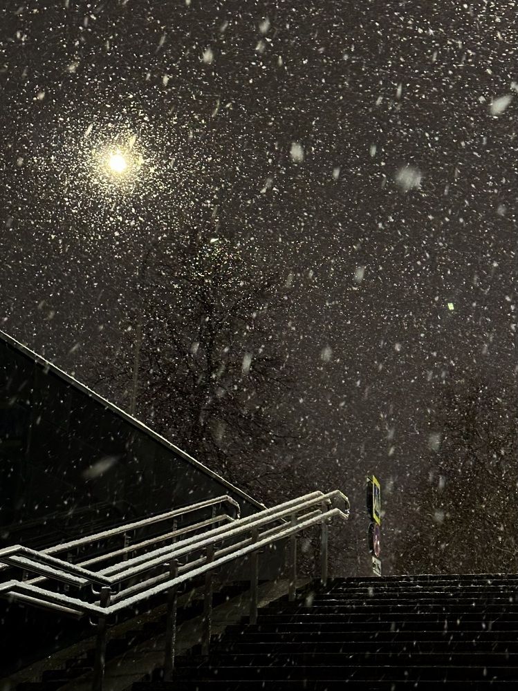 Photograph by Рина Серёгина