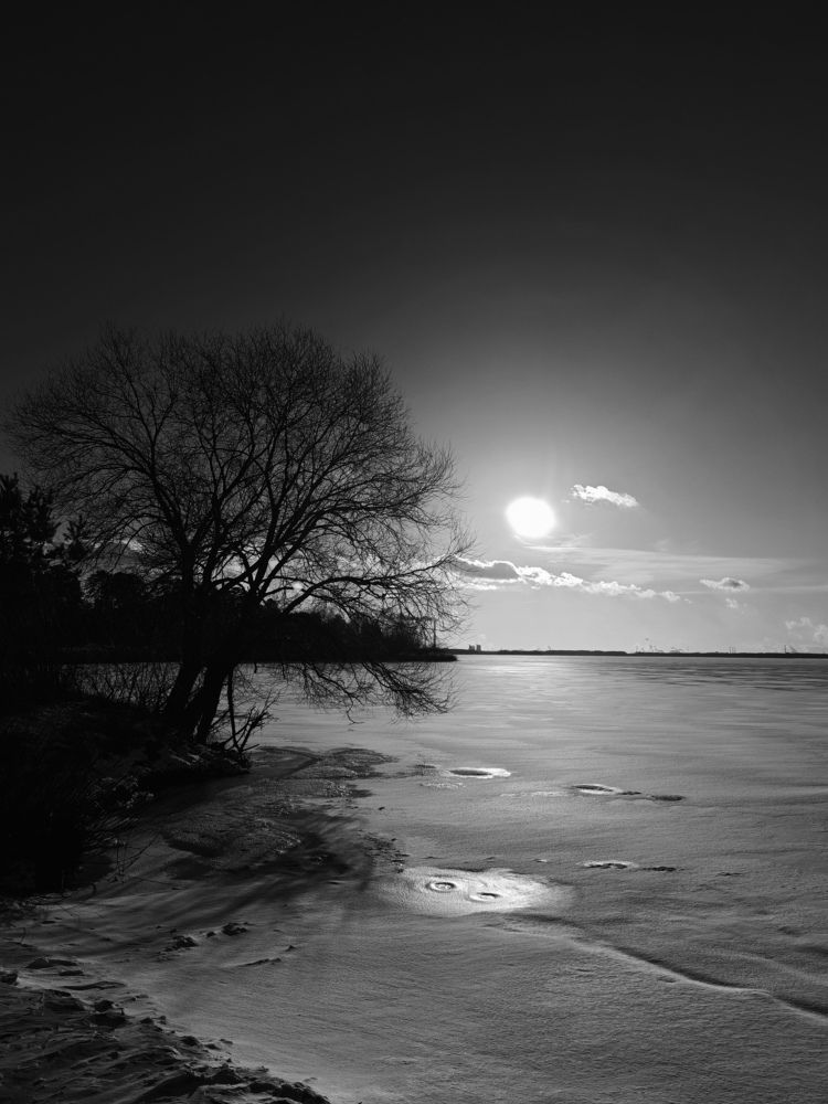 Photograph by Ольга