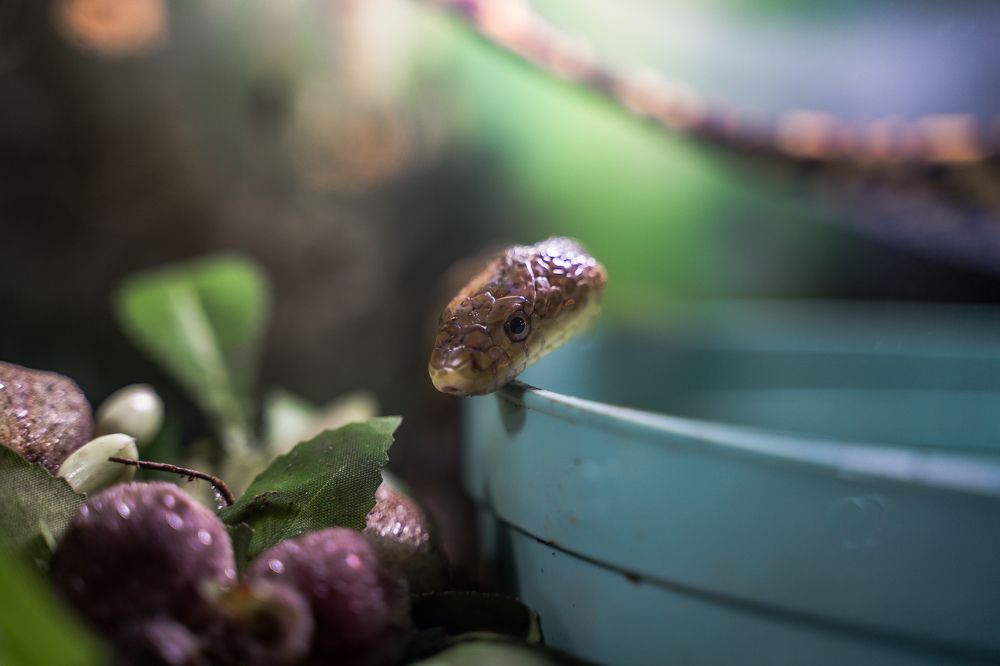 Photograph by Даниил Свиридов