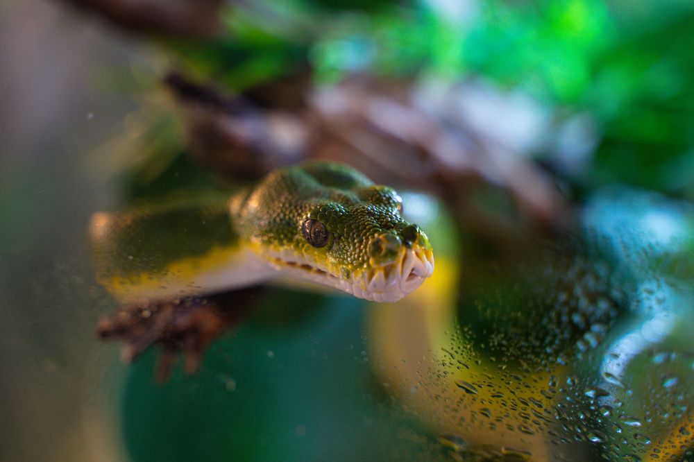 Photograph by Даниил Свиридов