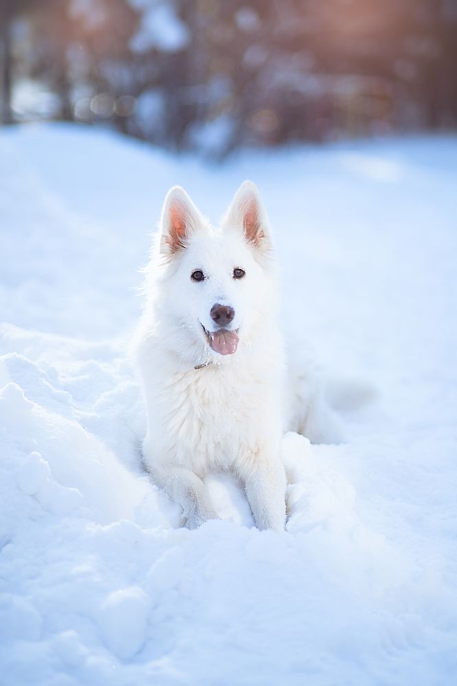 Photograph by Мария Кравченко