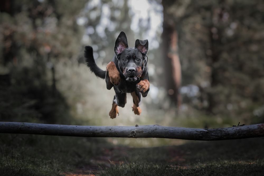 Photograph by Alfonso Maseda Varela