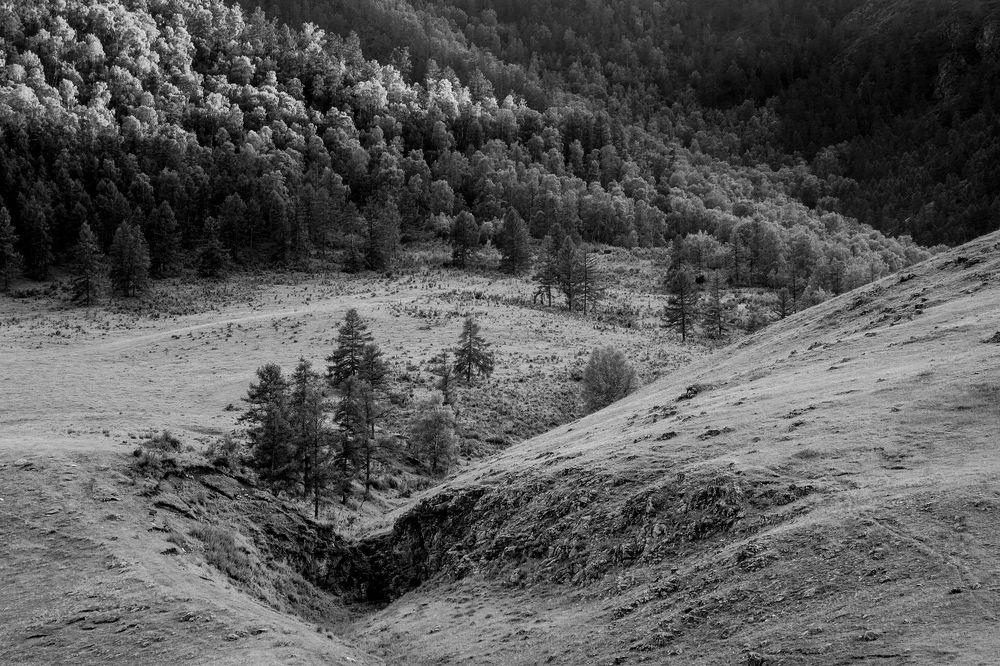 Photograph by Станислав Аристов