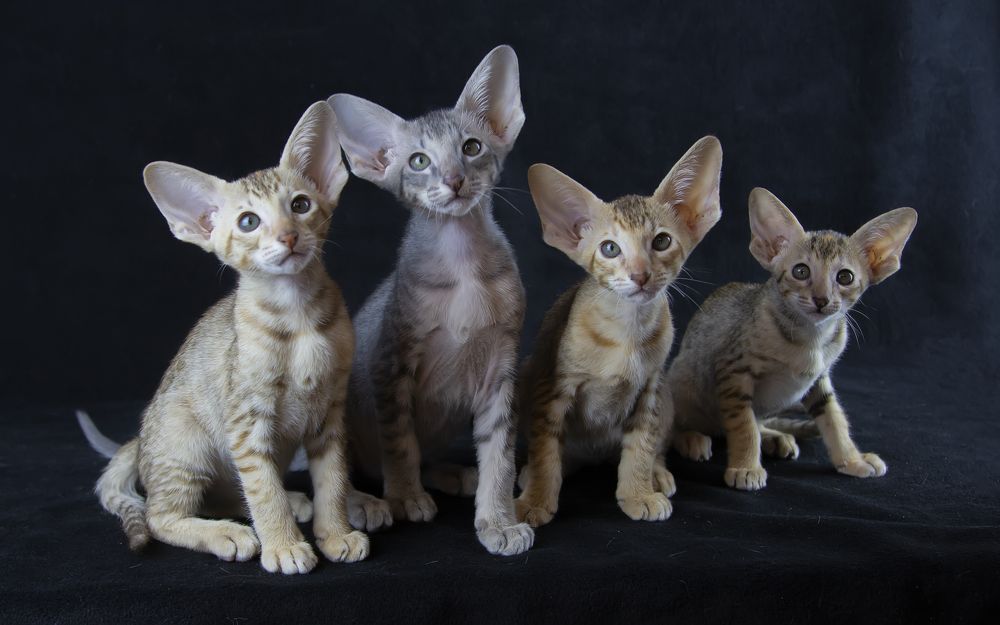 Photograph by Татьяна Феденкова