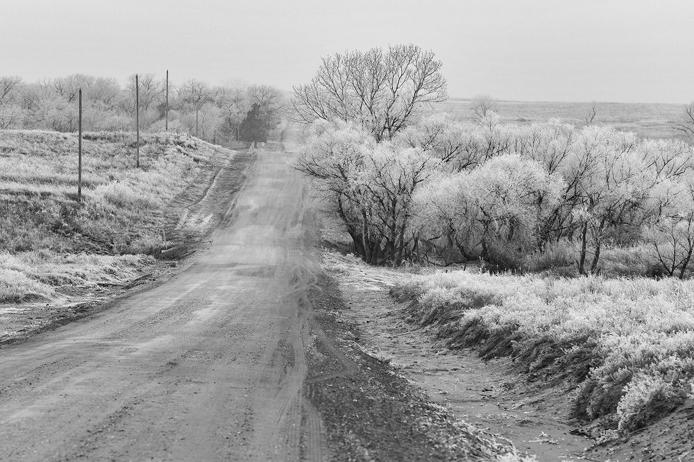 Photograph by Shannon Maltbie-Davis