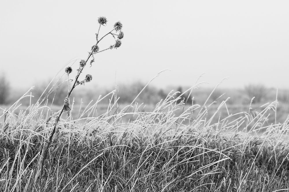 Photograph by Shannon Maltbie-Davis