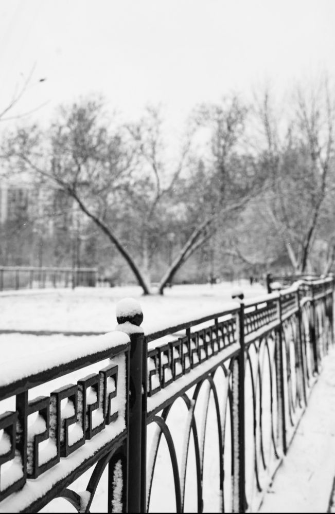 Фотография автора Светлана Алексеева