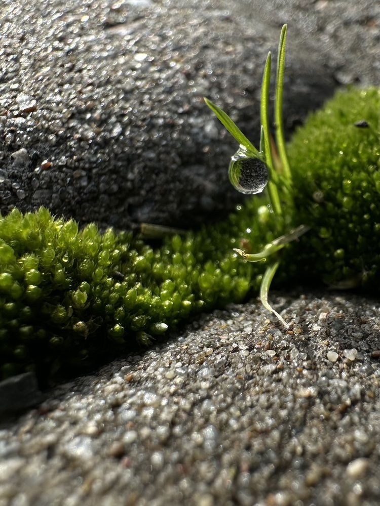 Фотография автора Татьяна Брык