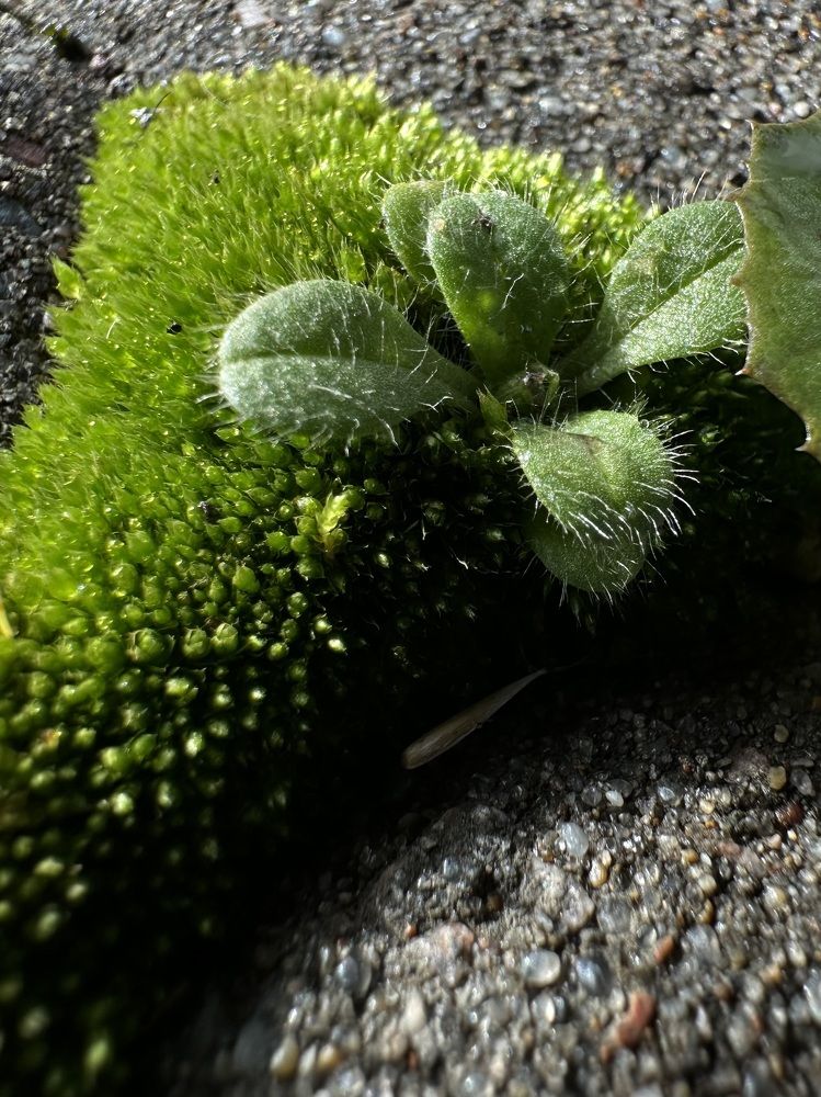 Фотография автора Татьяна Брык