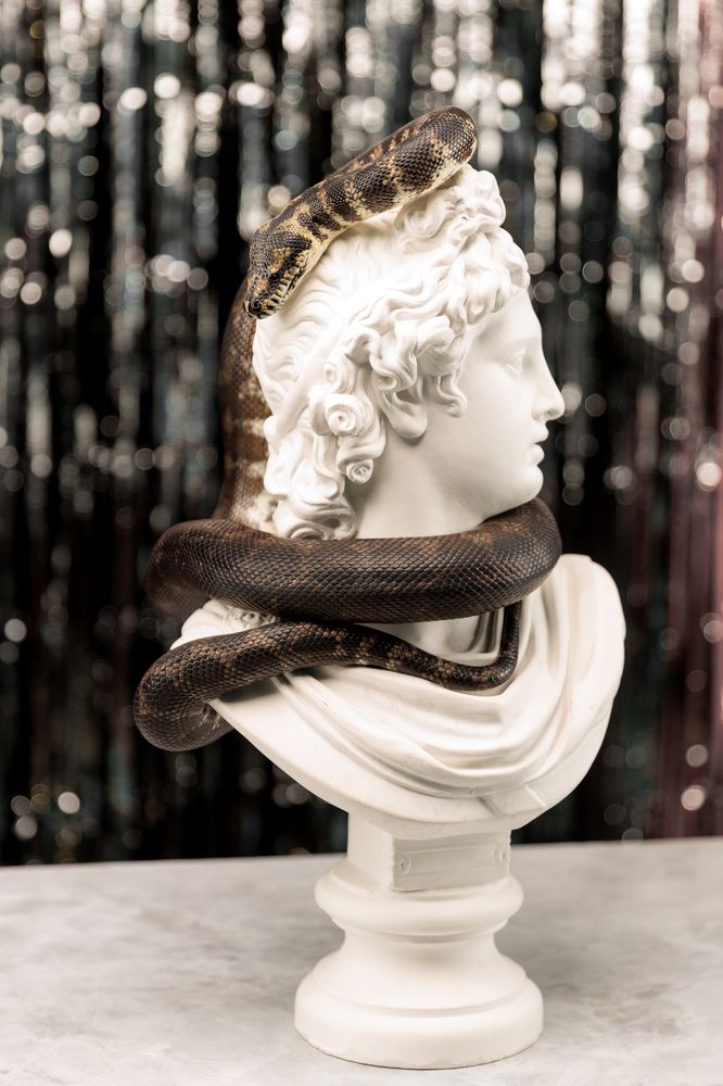 Photograph by Евгения Виноградова