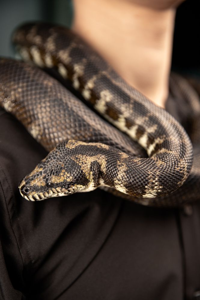 Photograph by Евгения Виноградова