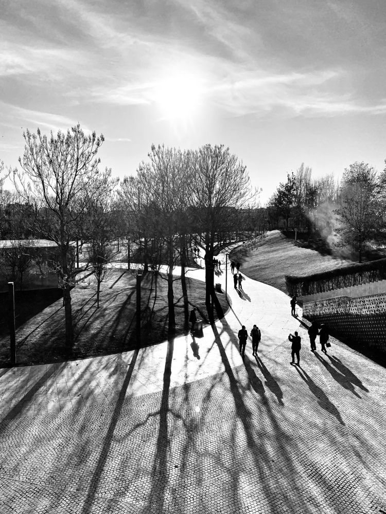 Photograph by Юлия Сушко