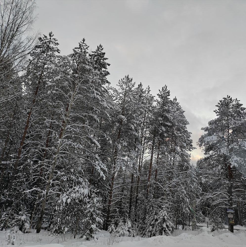 Photograph by Ирина Дружинина