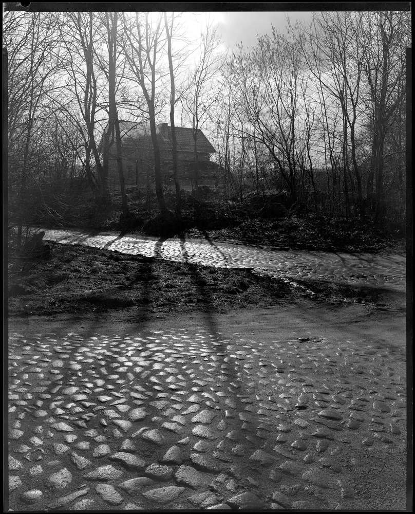 Photograph by Александр Кучин