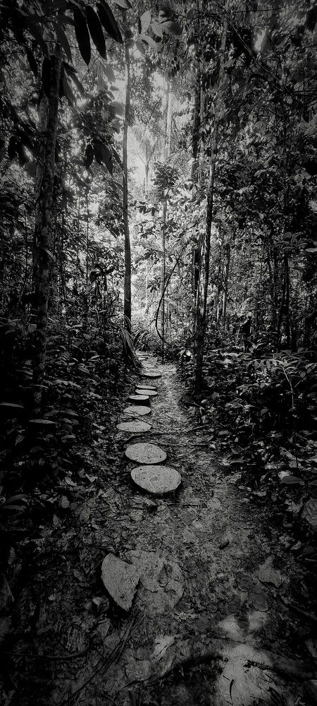 Photograph by Gr Marie