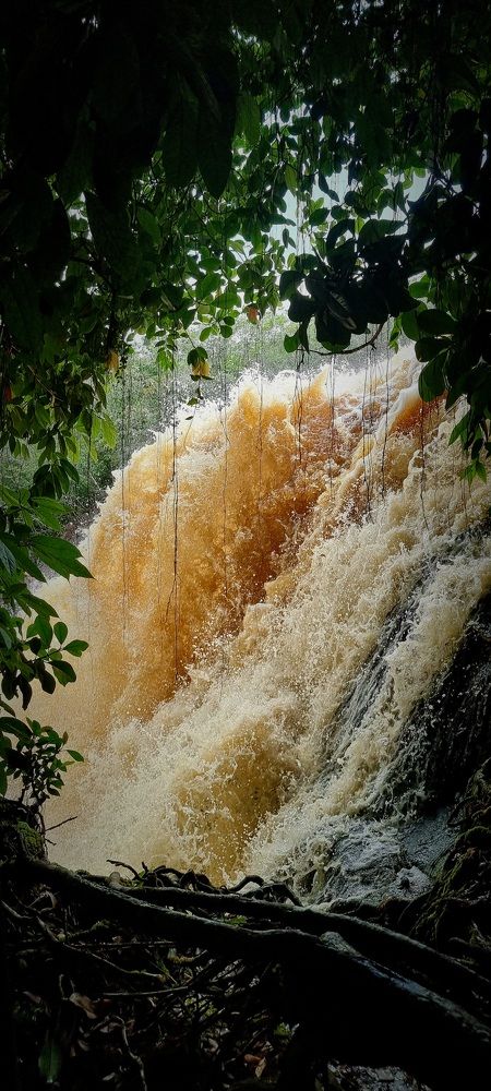 Photograph by Gr Marie