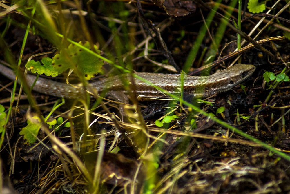 Photograph by Людмила Павловна