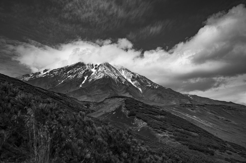 Фотография автора Мария Есина