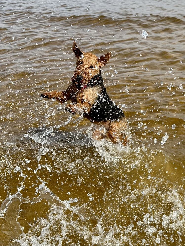 Photograph by Рина Серёгина