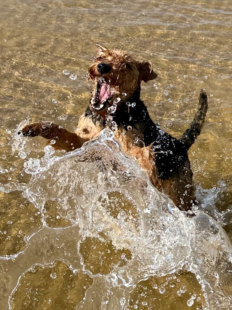 Photograph by Рина Серёгина