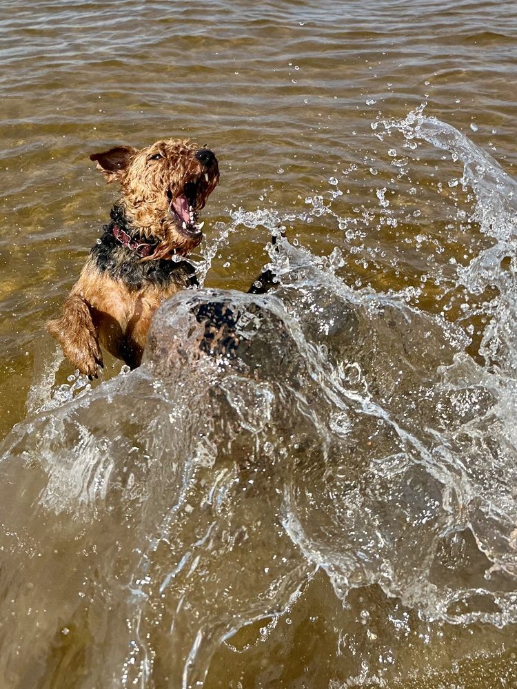 Photograph by Рина Серёгина