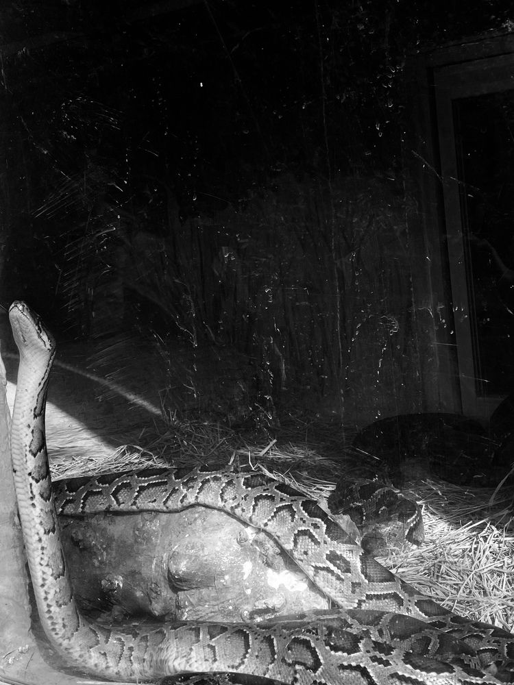 Photograph by Abhimun Goel