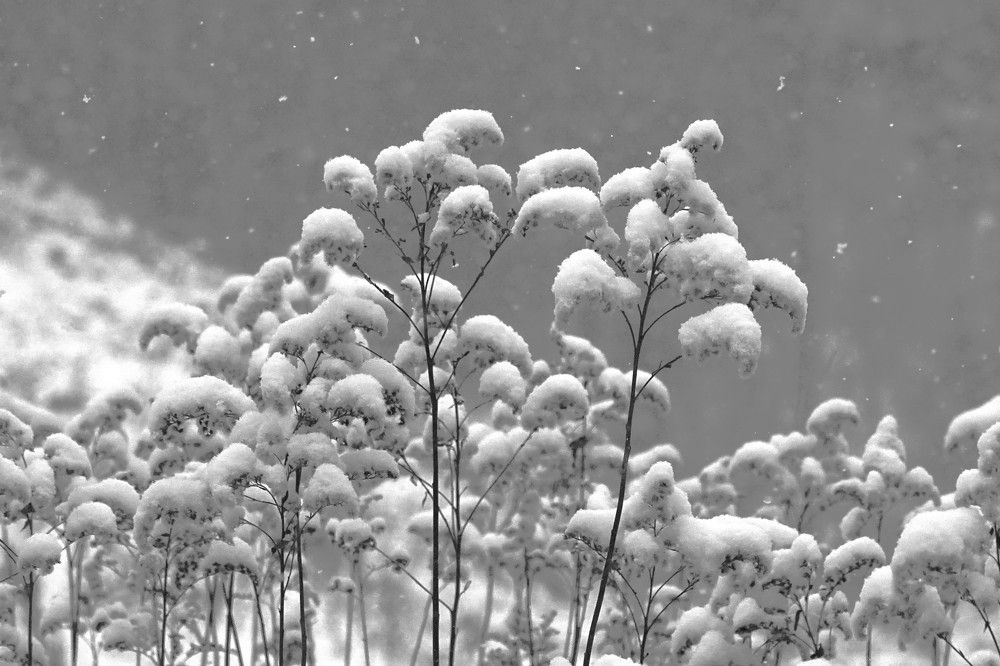 Photograph by jelena konickaja