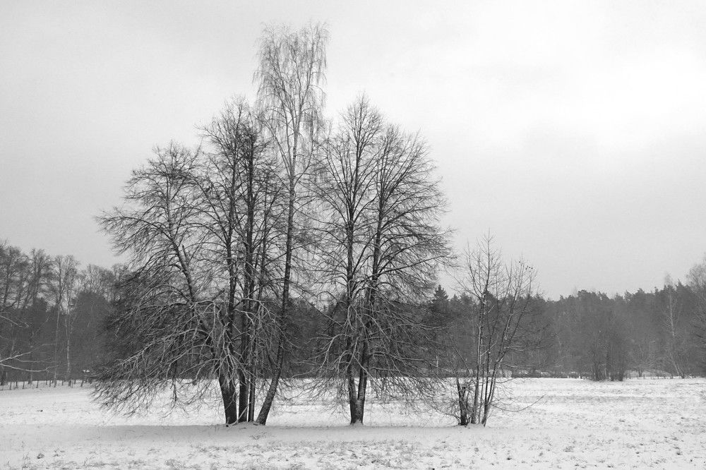 Photograph by jelena konickaja