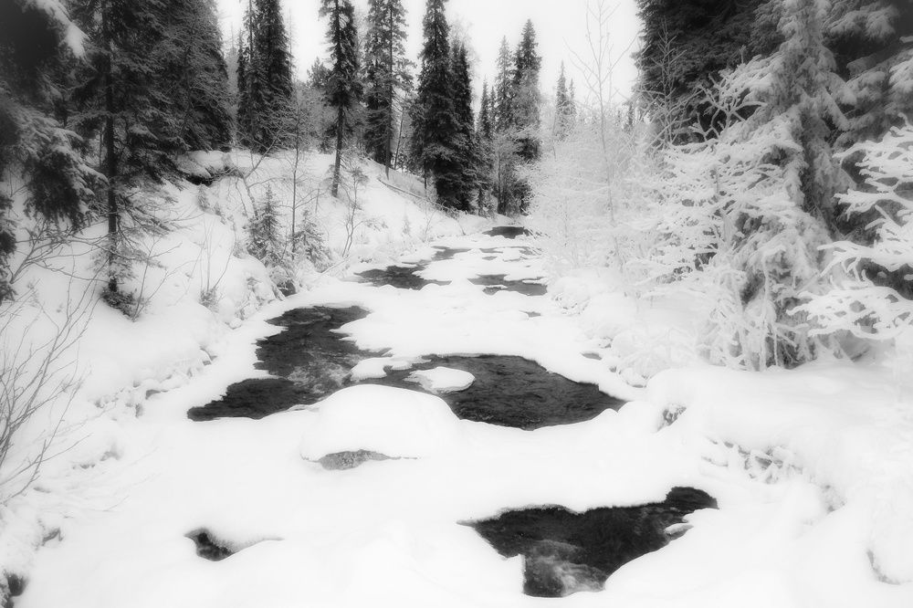 Photograph by Наталия Мельникова