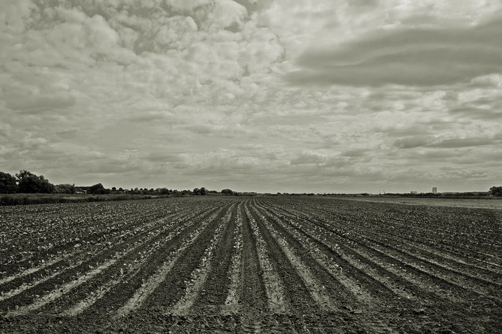 Photograph by Леонид Шнейдерман