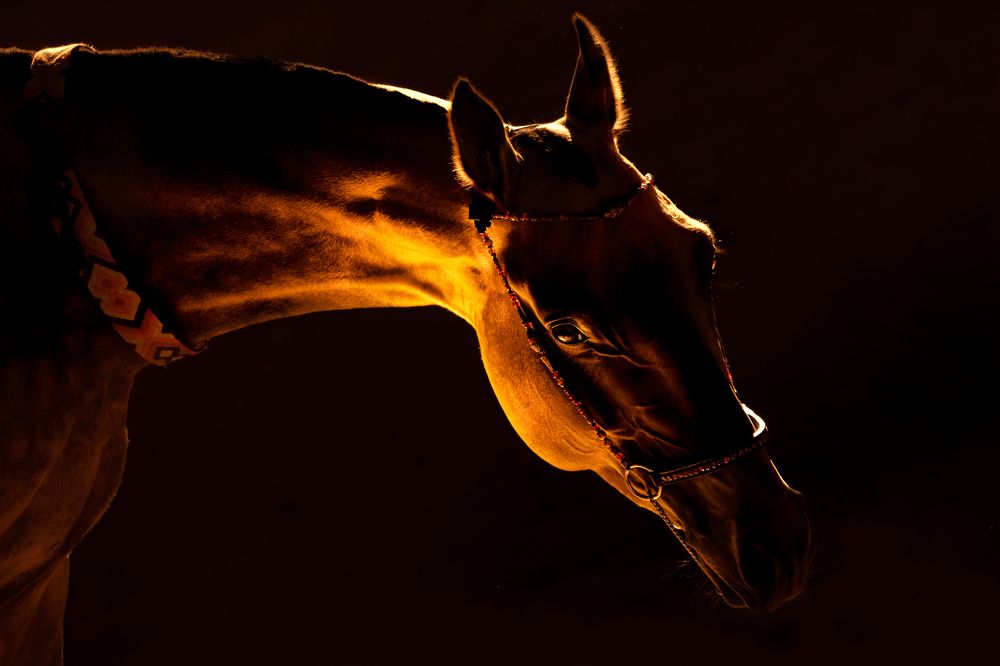 Photograph by Макари Лия