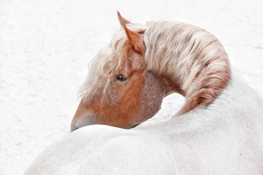 Photograph by Макари Лия