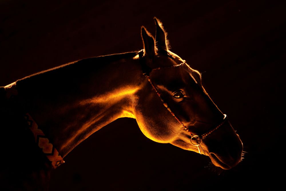 Photograph by Макари Лия